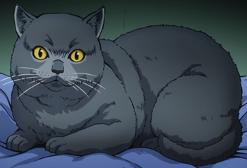 /images of/Tama/from/JoJos Bizarre Adventure Diamond Is Unbreakable/uploads/chars/42795-2140967510.png
